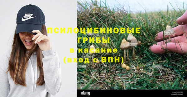 винт Осинники