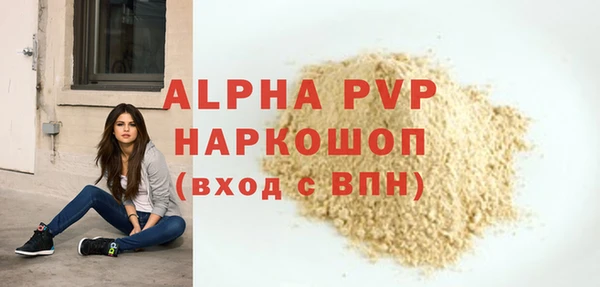 молекула духа Балахна