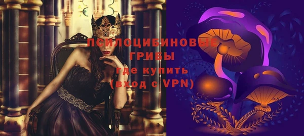молекула духа Балахна